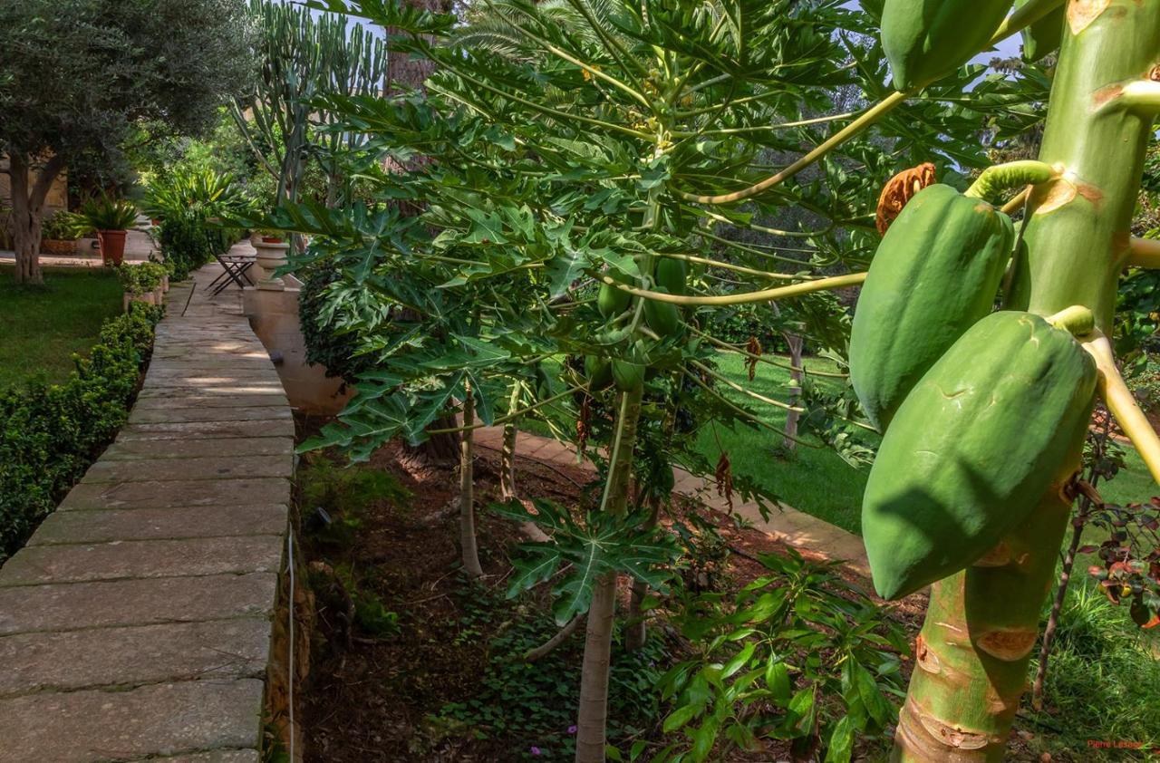 Selmunett – Malta Homestay Naxxar Exteriör bild