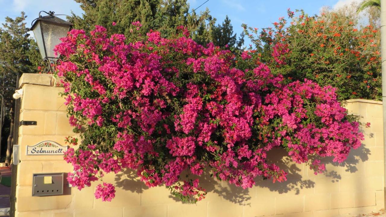 Selmunett – Malta Homestay Naxxar Exteriör bild